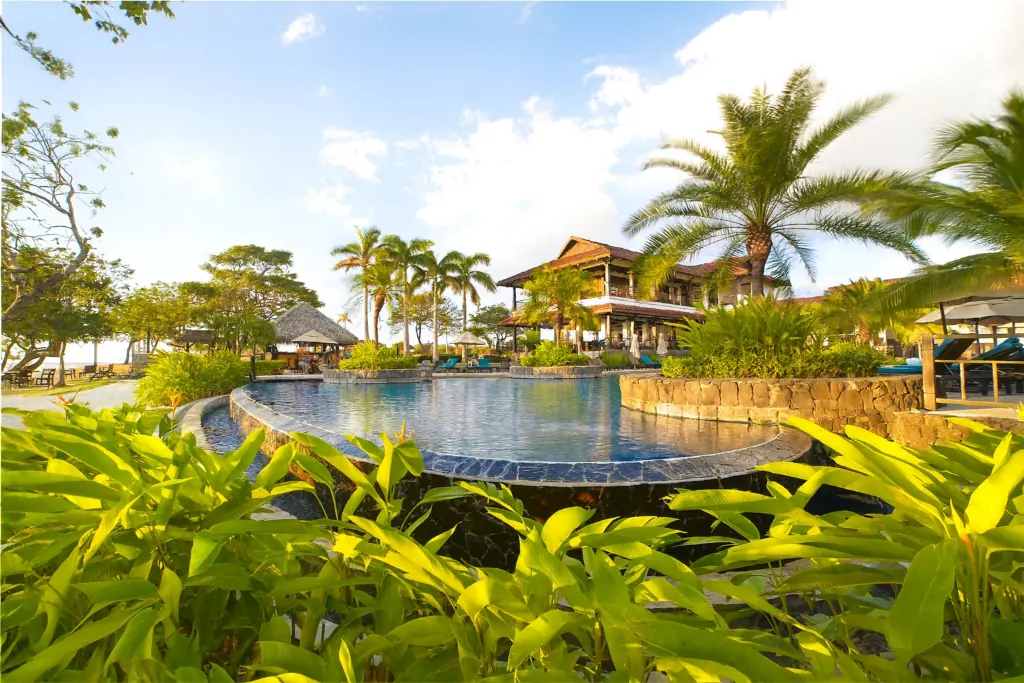 Palm trees beside the infinity pool at Hacienda Pinilla Beach Club